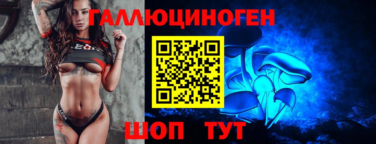 Геленджик  Псилоцибиновые грибы GOLDEN TEACHER  Вход с VPN  Галлюциногенные грибы MAGIC MUSHROOMS 